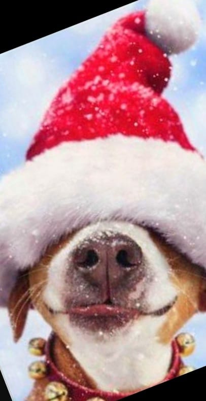 Wünsche allen einen fröhlichen Start in die neue Woche