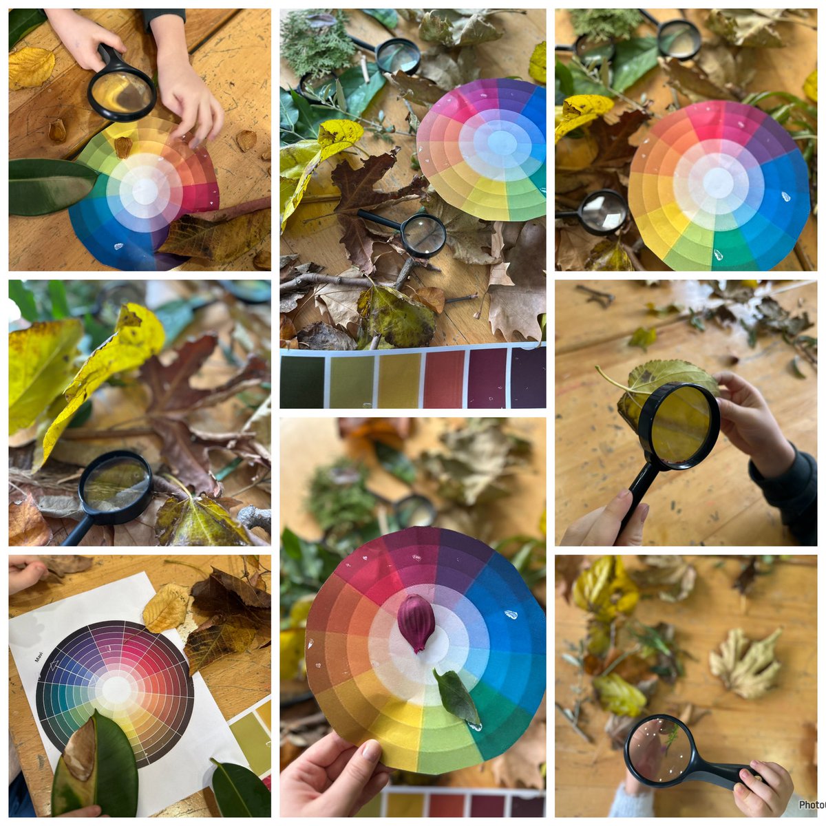 “Master Kids”
Doğanın Renkleri🎨🌿🍁
 
<a href="/corlubk/">BK Çorlu Kampüsü</a> <a href="/omerfarukozer/">ömer faruk özer</a> <a href="/isilkumyol/">Işıl Kumyol</a>