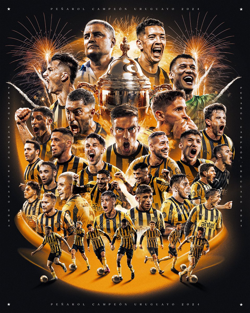 Nico Rotundo tweet media