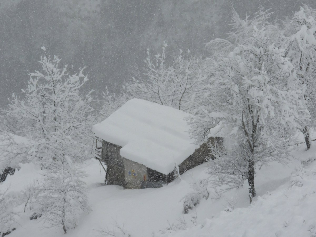 byfreemad's tweet photo. Finlandiya değil,Trabzon ❄️ https://t.co/IBqUJngP62