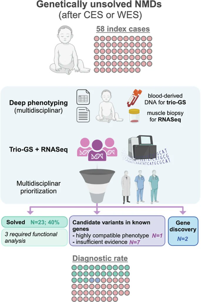 🧬En el Programa de Diagnóstico y Terapia Traslacional cada diagnóstico es esperanza: con un enfoque genético innovador, investigadores del <a href="/Palau_Lab/">Palau & Hoenicka GenomicScientia-Lab</a> <a href="/SJD_NMuscular/">SJDNeuromusculares</a> y @CNAG logran identificar la causa de enfermedades neuromusculares en 23 niños tras años de incertidumbre 🙏