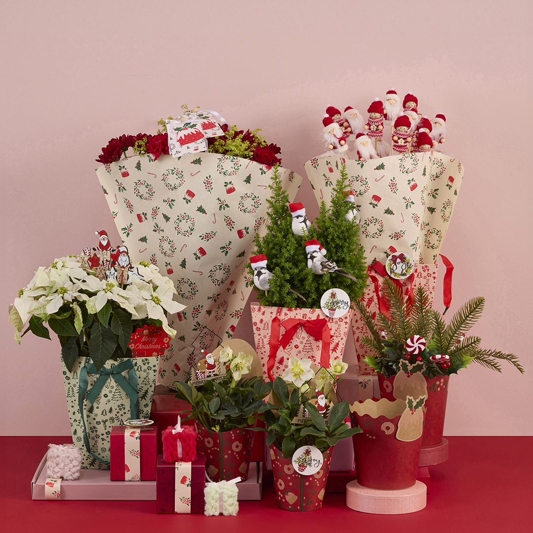 Het is bijna kerst 🧑‍🎄 Ons thema Gifts is speciaal ontworpen om van bloemen en planten de mooiste cadeaus te maken, de hele maand december tegen speciale prijzen: nieuwsbrief.koenpack.com/t/t-013842ECDA…
 
#kerstmis #kerstsale #cadeauverpakkingen #bloemenenplantenhoezen #hoedendozen #decostekers