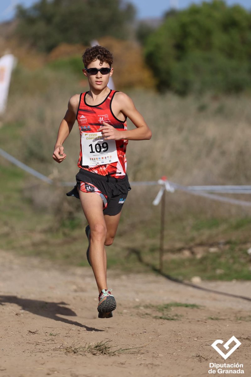 CubAtlAbolote's tweet photo. Empezó el Circuito Provincial de Campo a Través Diputación - Fundación Caja Rural 
Lecrin, 30/11/ 2024
Concejalía de Deportes de Albolote @deportealbolote #maxcolchon @Maxcolchon Fundación Francisco Carvajal de Albolote #fundacionfranciscocarvajal #alboloteinformacion https://t.co/nyw3GzruBO