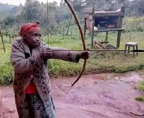 Msimu ni wa:

Shosh: Wapi Bibi

Me: Wapi meno

Shosh: