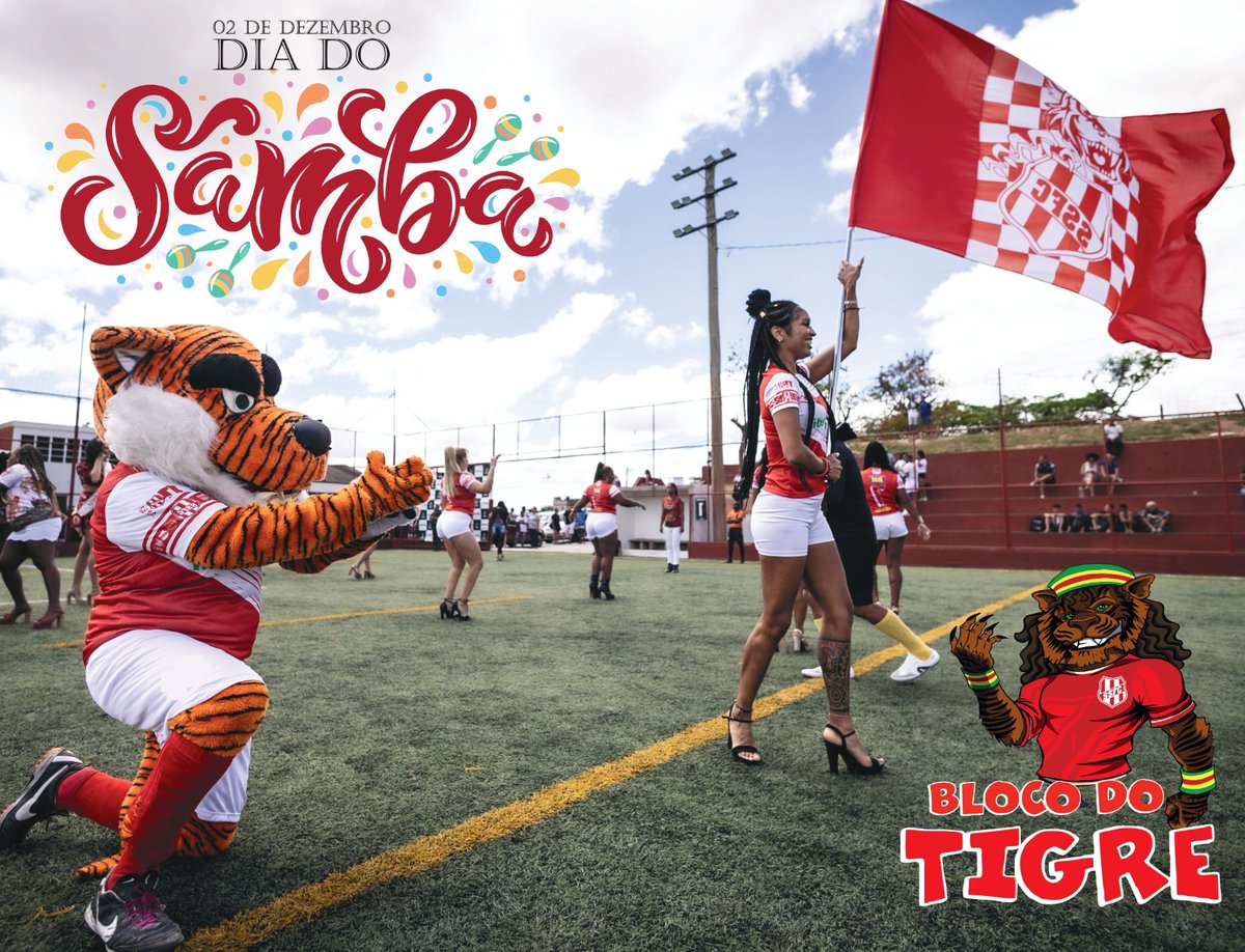 setedesetembro1's tweet photo. Bloco do Tigre 🐯 @blocodotigre https://t.co/mLJCfRTlIB