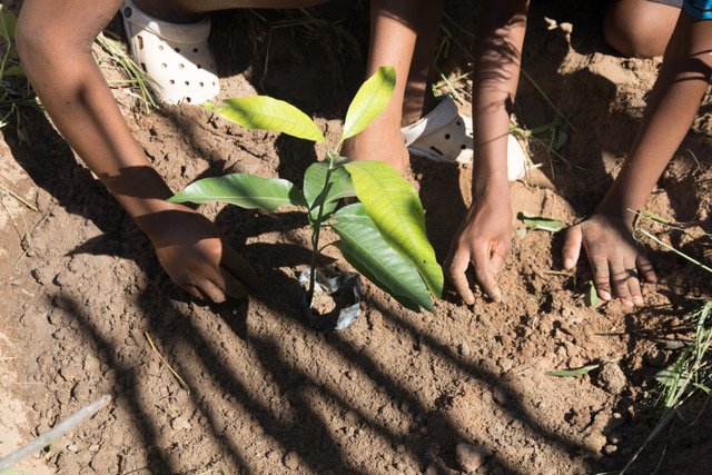 This is an exciting opportunity for you to make a meaningful impact on young #Zambians through this year's #GivingTuesday on 3rd December for Skills for Life and Climate Justice Centre <a href="/SchoolClubZam/">School Club Zambia</a>

Please donate (£15?) or whatever you can afford here: globalgiving.org/projects/eco-l…