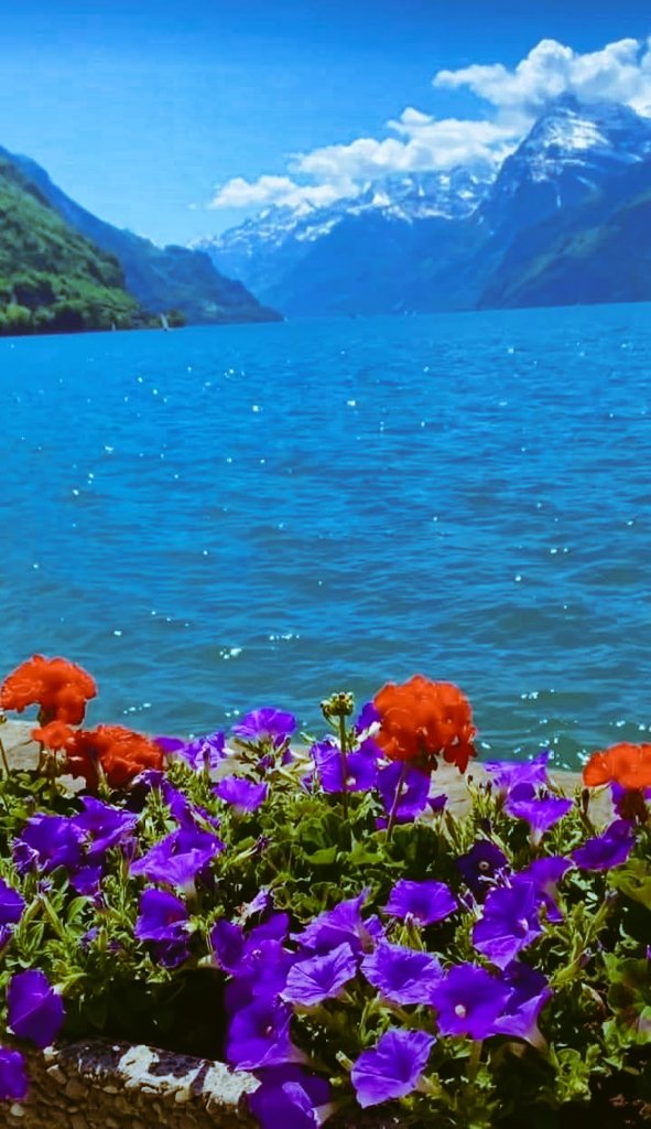 كلك على بعضك جميله صفاتك
سبحان منهو في عيوني محليك

كل المشاعر ياهوي البال جاتك
من قلب صادق مخلص لك ومغليك