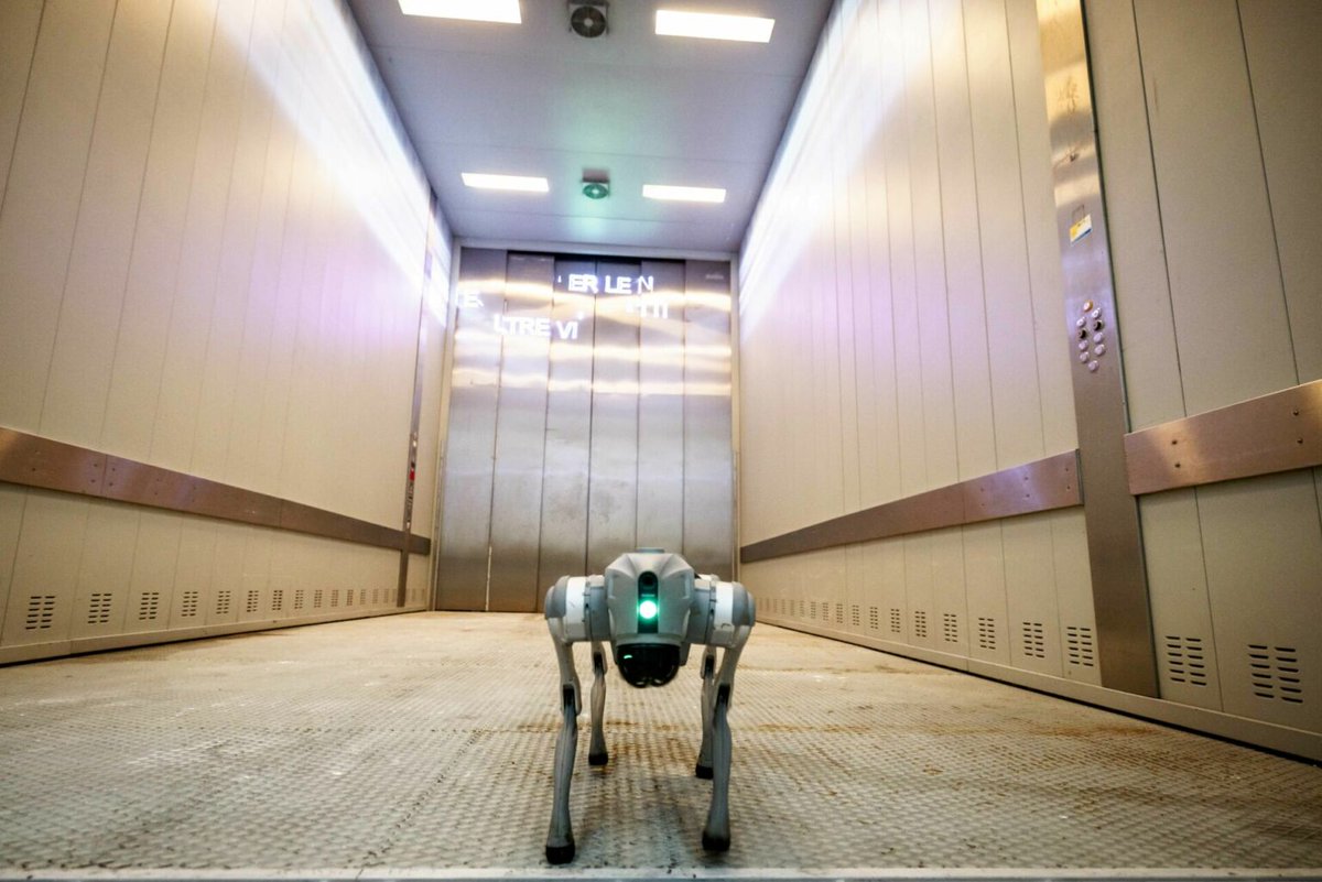 Alessandro Mancini tweet media