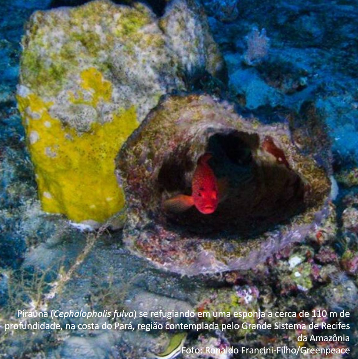 Adalberto Luis Val tweet media