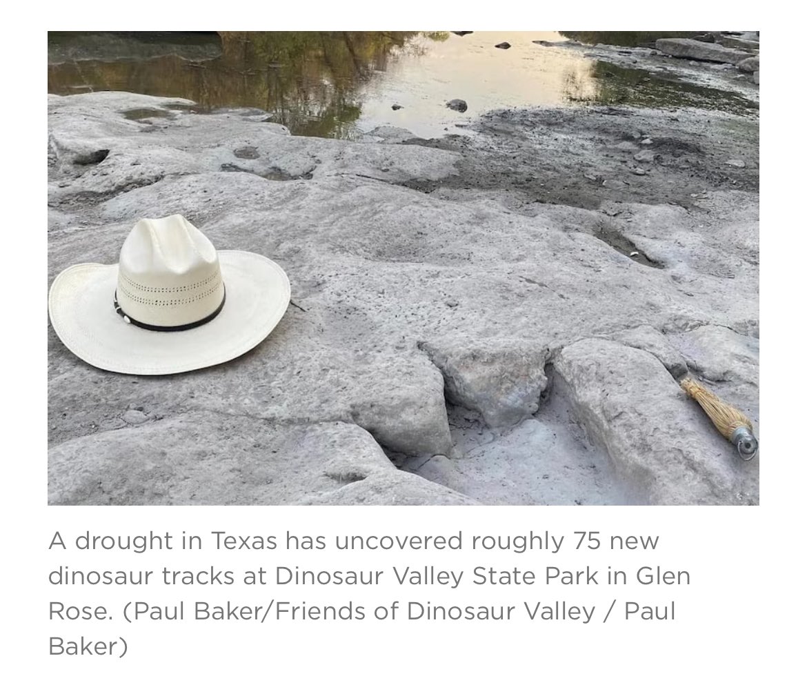 GeorgieGeeeZ's tweet photo. @AMAZlNGNATURE Dinosaur footprints in the paluxy river bed in Glen Rose, Texas… https://t.co/Z7nFuyQ09Y