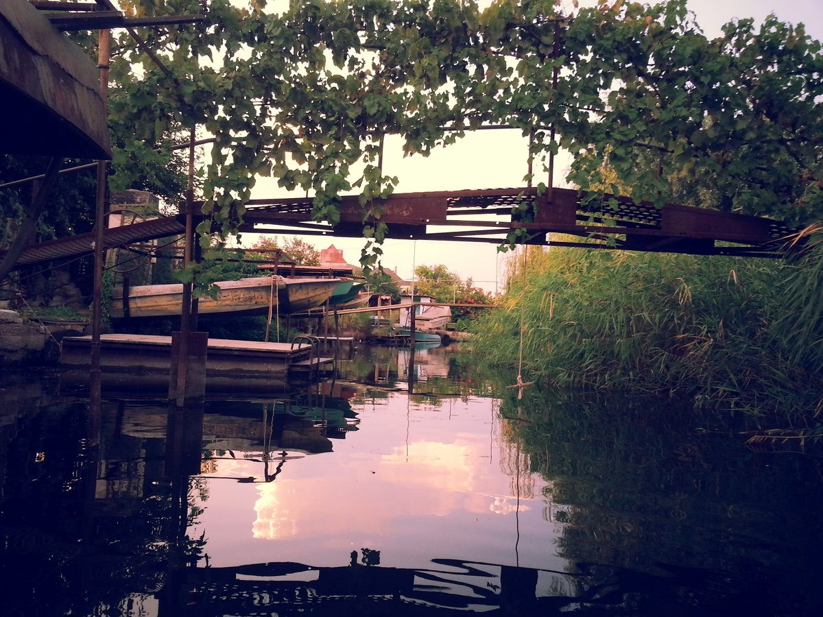 beholder’s share tweet media