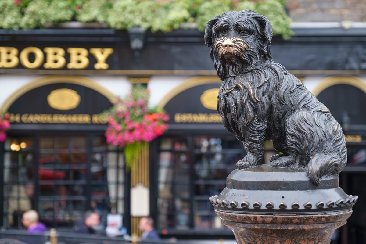 Q3 2024 QEI: Local Tourism Insights

Tourism confidence, sales, and profits rise, but labour costs impact 80% of firms. 

Your voice drives local support! bit.ly/SCCQEIQ42024