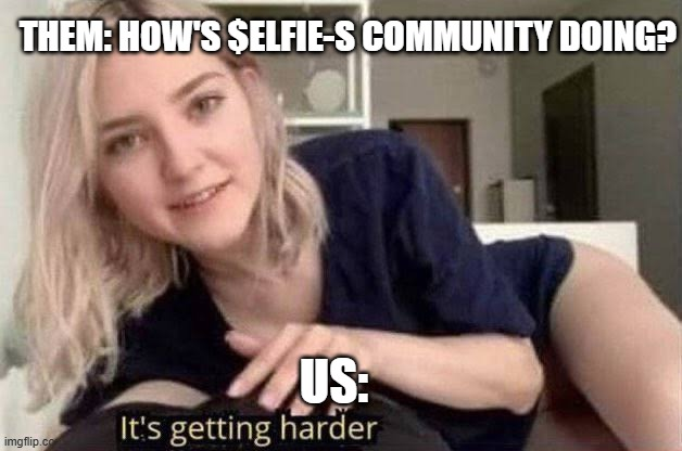 ELFIE - Your second favourite Elf tweet media