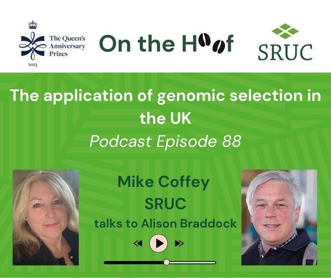 SRUC (@sruc) on Twitter photo Alison Braddock from <a href="/SRUCVets/">SRUC Veterinary Services</a> talks with Professor Mike Coffey about genomic selection. This tech is revolutionizing dairy, beef, and sheep farming, enhancing productivity, welfare, & sustainability.
Listen now 👉 buff.ly/4hMlEUo
#genomics #EGENES Alison Braddock from <a href="/SRUCVets/">SRUC Veterinary Services</a> talks with Professor Mike Coffey about genomic selection. This tech is revolutionizing dairy, beef, and sheep farming, enhancing productivity, welfare, & sustainability.
Listen now 👉 buff.ly/4hMlEUo
#genomics #EGENES