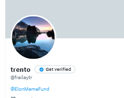 IlFIMT.gg tweet media
