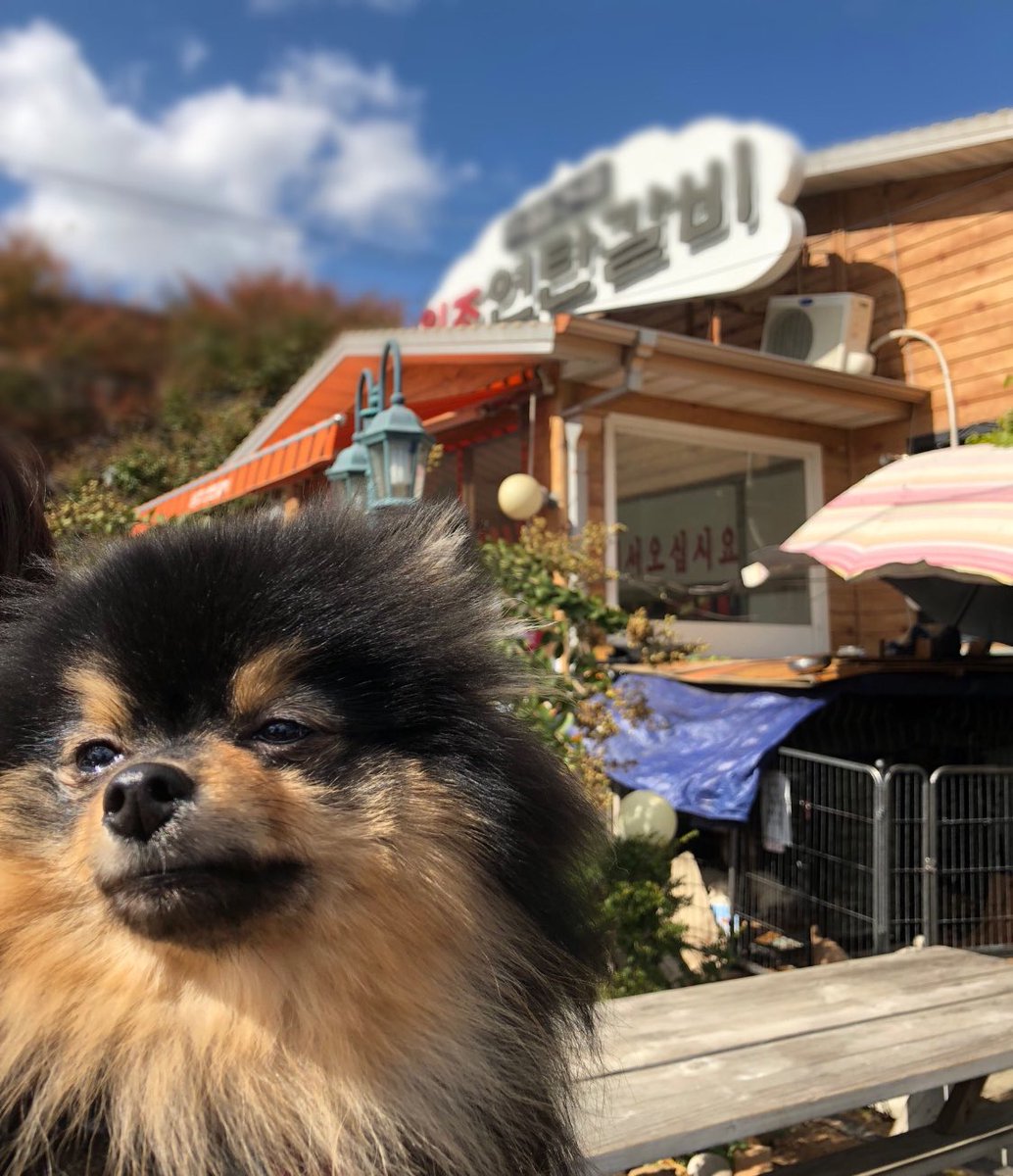 [🔙] 031118 |Taehyung, Twitter güncellemesi

🐯: İlk defa denizi görüyorsun, değil mi ~ muhteşem değil mi ~~