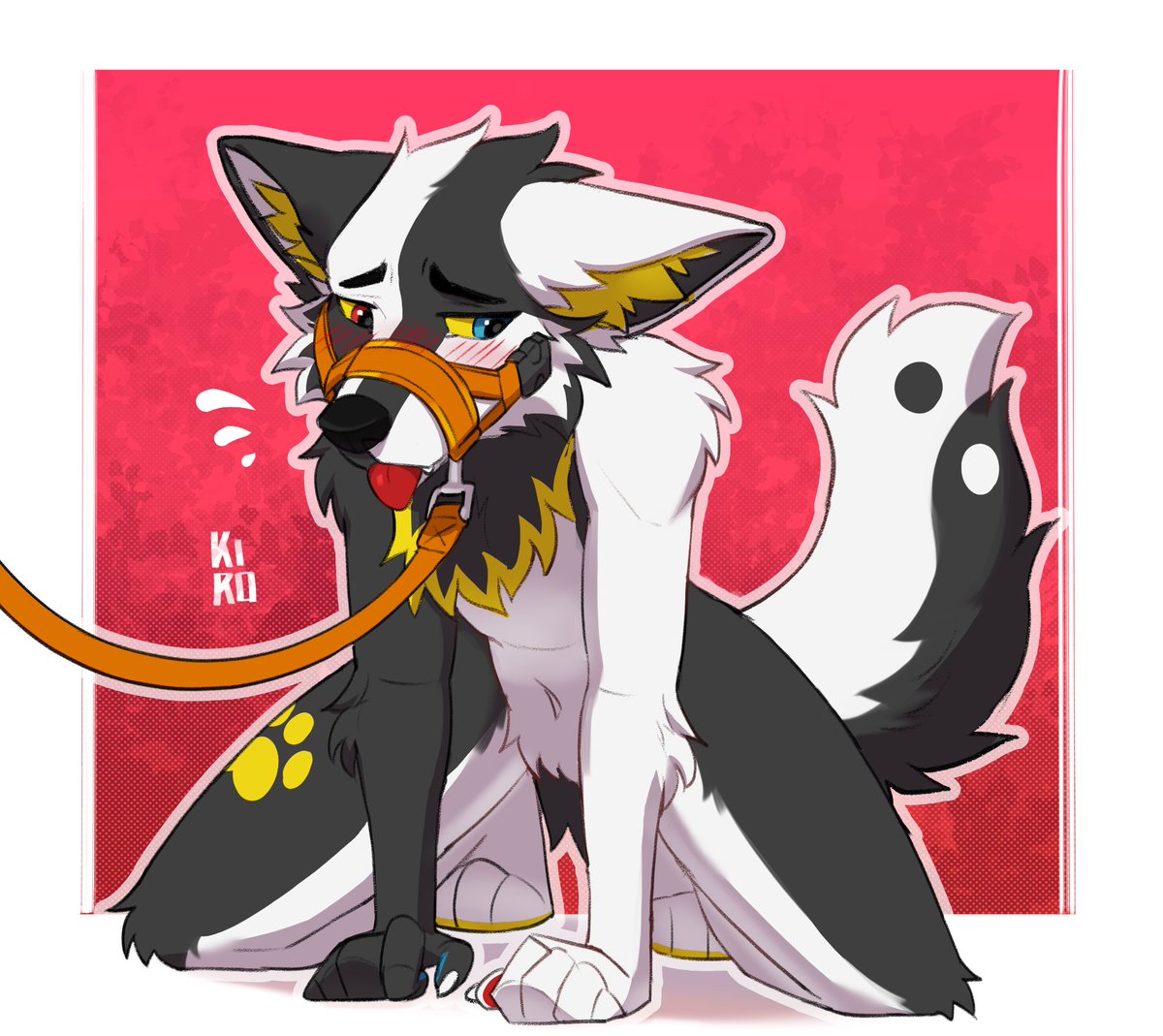 🐺Yin🐺 tweet media