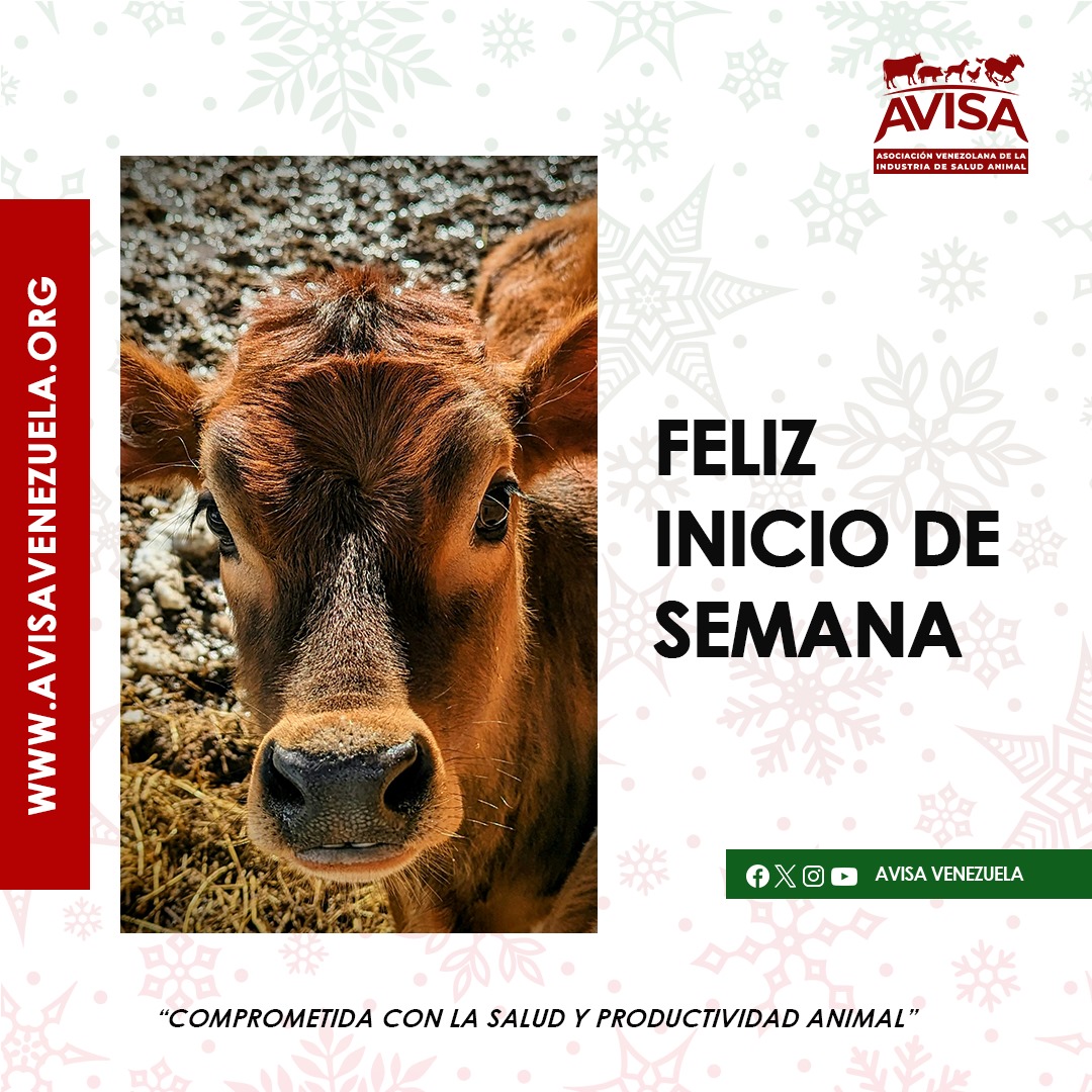 AvisaVenezuela's tweet image. &quot;Deja marcado en tu corazón que cada día es el mejor día del año&quot; - Ralph Waldo Emerson

¡Feliz lunes!

#AVISAVenezuela #Lunes #Diciembre #Venezuela