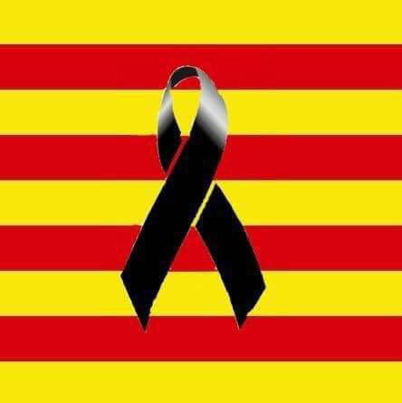 germa_gordo's tweet photo. El meu condol per als familiars de les víctimes, ACS, de l’accident de l’autocar de l’Hospitalet de Llobregat, ahir a la Catalunya Nord. A l’hora que desitjo una ràpida recuperació de tots els ferits. https://t.co/vDmCBlLtyS