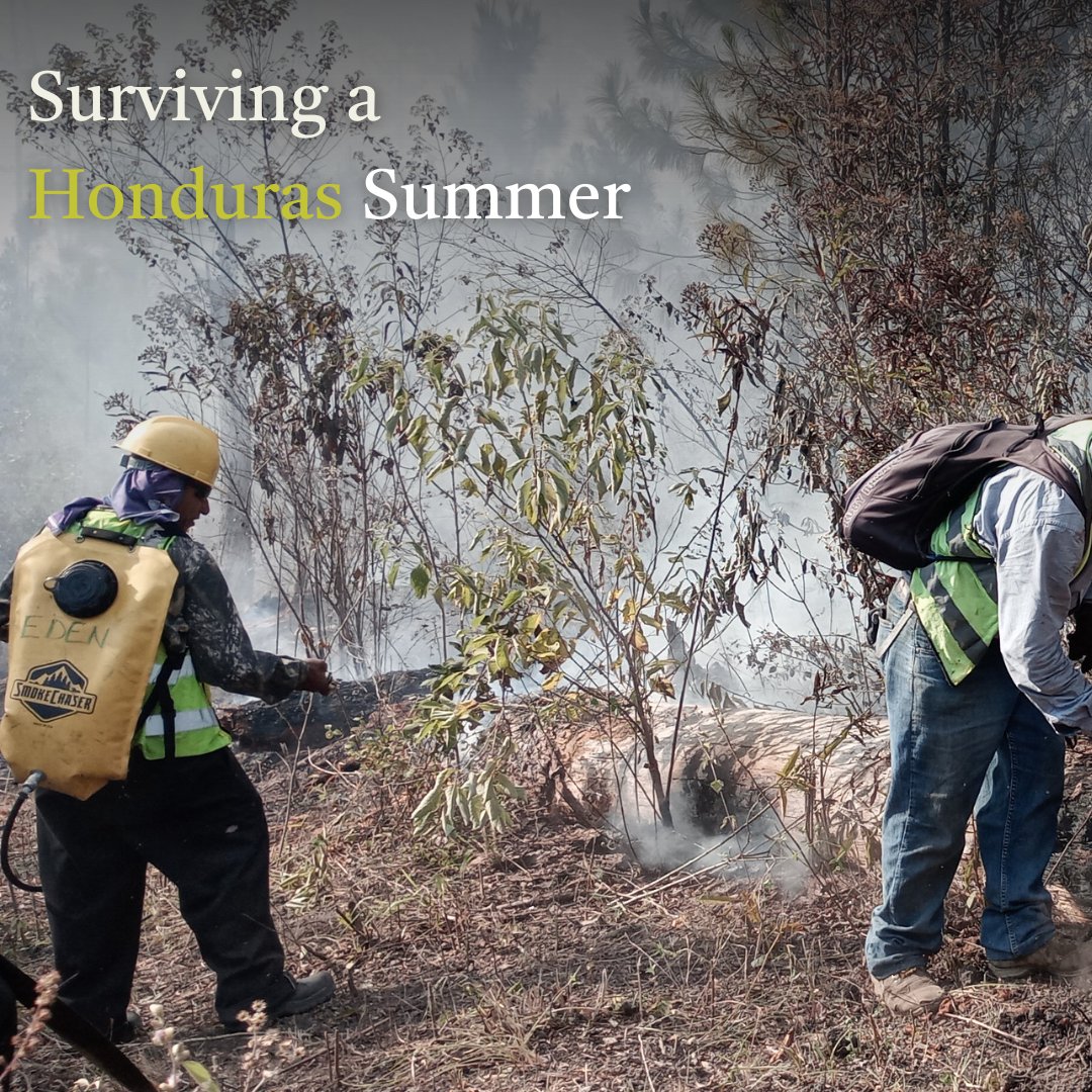 Eden: People+Planet tweet media