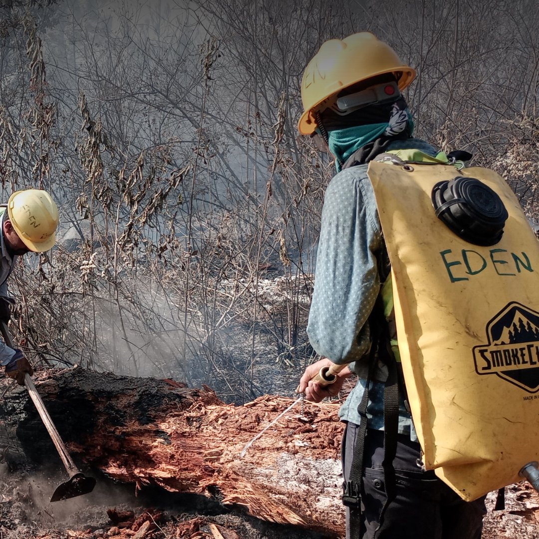 Eden: People+Planet tweet media