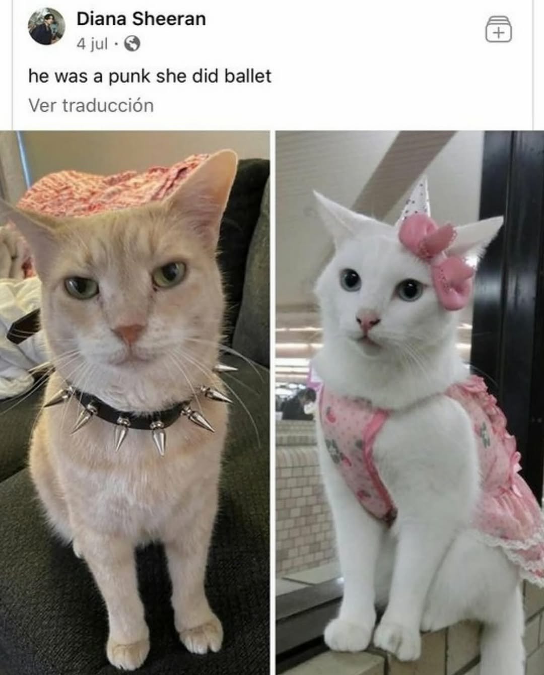 Gdz-Aa1aUAAtubv?format=jpg&name=large