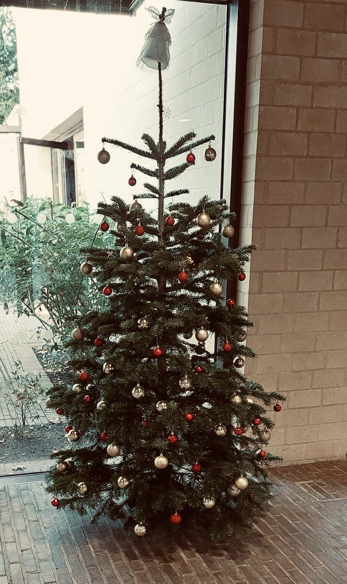 Thursday 5 December is #internationalvolunteerday and we’ve plenty of things we need help with to get Sands End Arts &amp; Community Centre ready for the #christmas season. Fancy a bit of #gardening? Or putting up some decorations? Drop in any time between 9am &amp; 5pm. #IVD2024