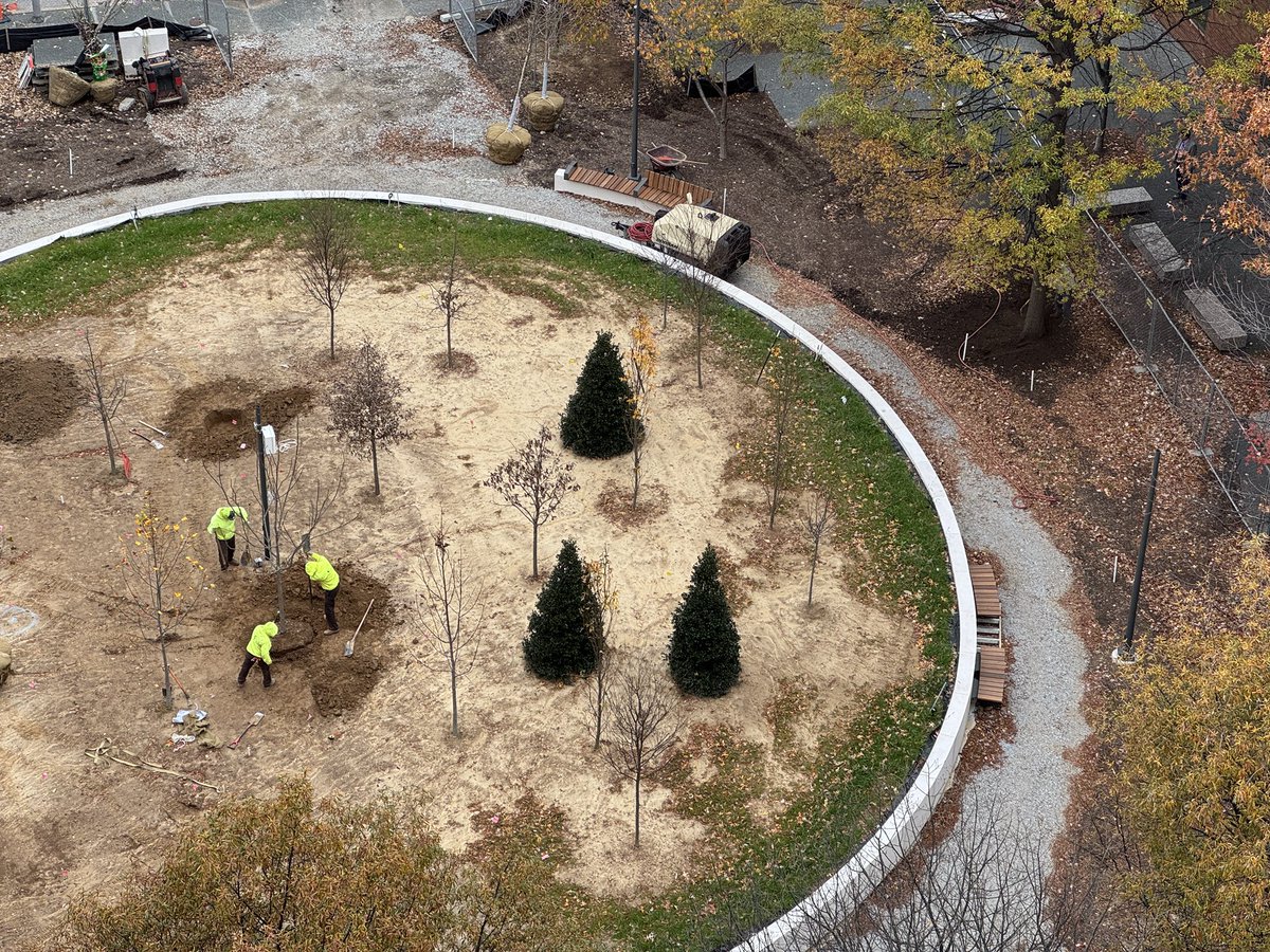 Urban Design Studio (@udstudiolou) on Twitter photo Trager MicroForest Project Weekly Construction Update: 12/02/2024
udstudio.org/stories/tmfp-w… Trager MicroForest Project Weekly Construction Update: 12/02/2024
udstudio.org/stories/tmfp-w…