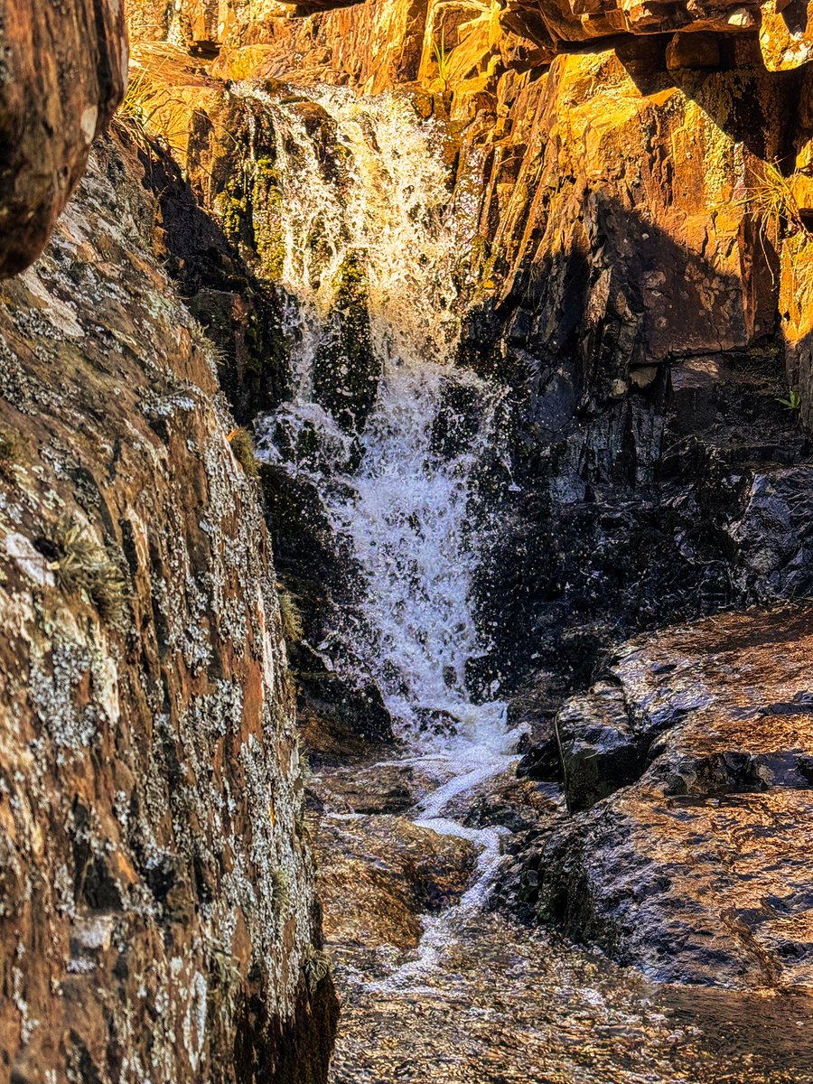 Así de lindo está #Tandil por estos días. A pocos metros de Las Ánimas