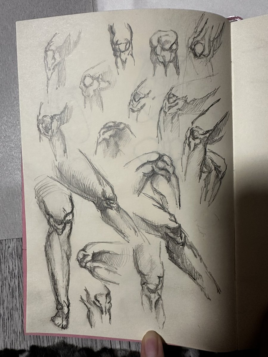 KatelnArt's tweet photo. I found my sketches of the knees, as well as other body parts, which I will show later https://t.co/S11UJcI5v0