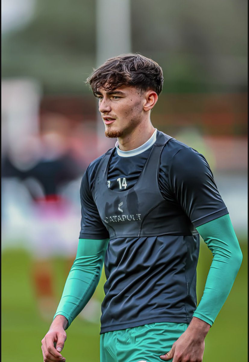 Connor Teale tweet media