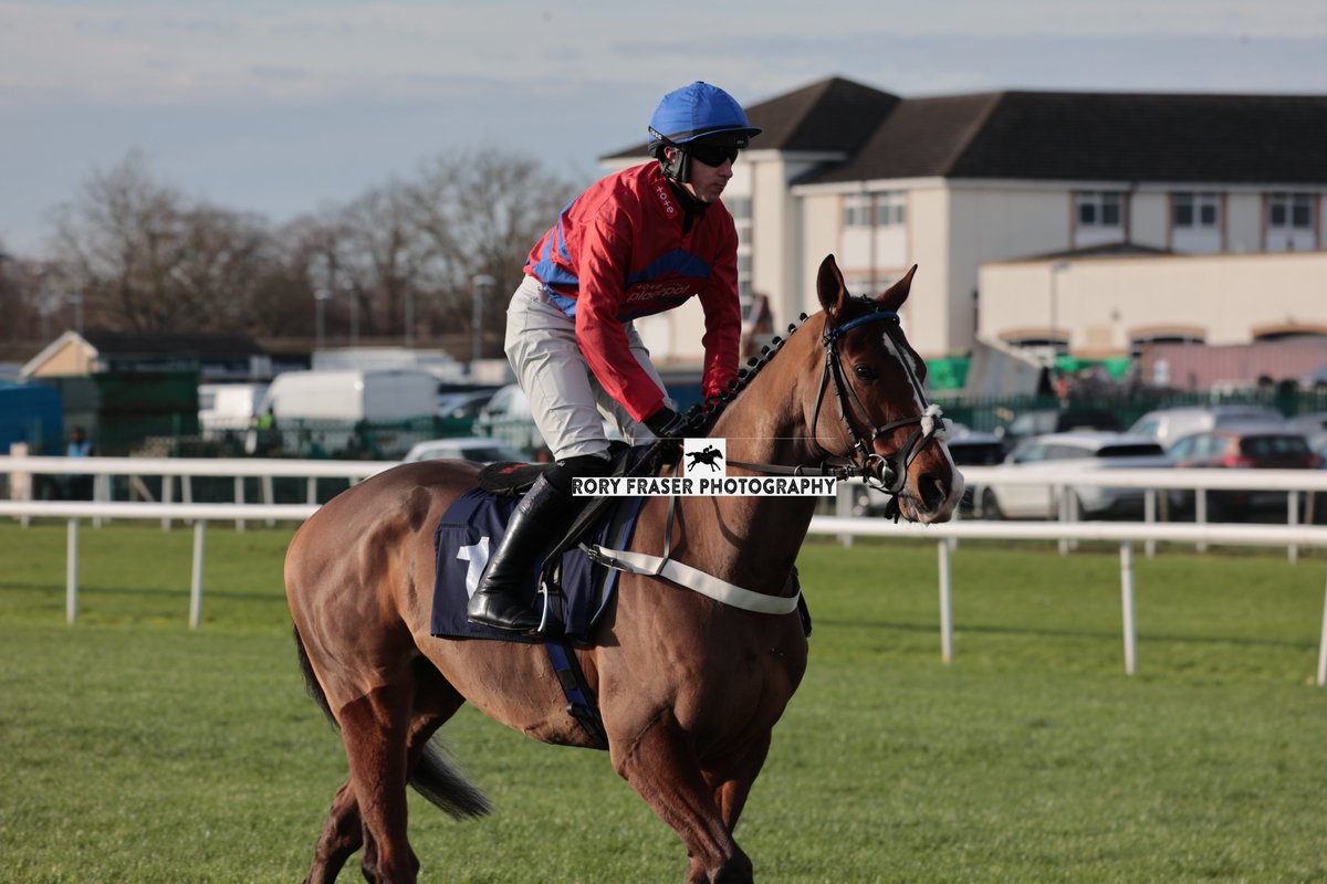 Rory Fraser Photography🤘 (@92roryf) on Twitter photo Third at Doncaster on Friday in the class four juvenile maiden hurdle (2m), AOTANO (Soldier Hollow x Aotearoa)
Trained by <a href="/donaldmccain/">Donald McCain Racing</a>, owned by CP Racing and ridden by <a href="/MaggsWilliam/">William Maggs</a>
A winner on racecourse debut in October and half brother to a German Gr. 2 runner up Third at Doncaster on Friday in the class four juvenile maiden hurdle (2m), AOTANO (Soldier Hollow x Aotearoa)
Trained by <a href="/donaldmccain/">Donald McCain Racing</a>, owned by CP Racing and ridden by <a href="/MaggsWilliam/">William Maggs</a>
A winner on racecourse debut in October and half brother to a German Gr. 2 runner up