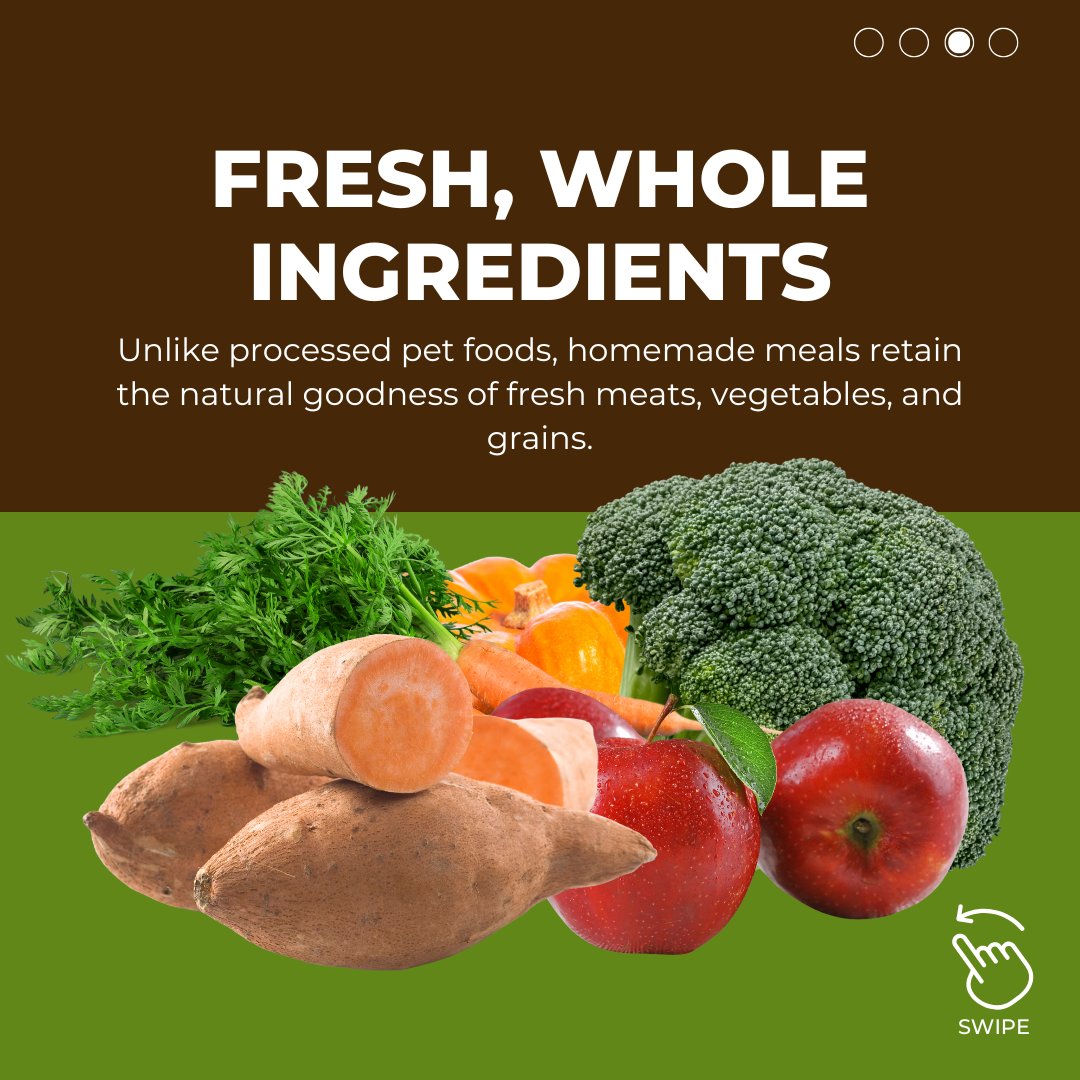 OfficialChefPaw's tweet photo. Give the Gift of Health this season! 🐾 Our Pet Food Maker provides custom nutrition with fresh, whole ingredients for healthier meals that promote longer, happier lives. 🍽️💚
#ChefPaw #HolidayGift #PetNutrition #FreshIngredients #HappyHealthyPets #KibbleKills https://t.co/pegmPcSAB1