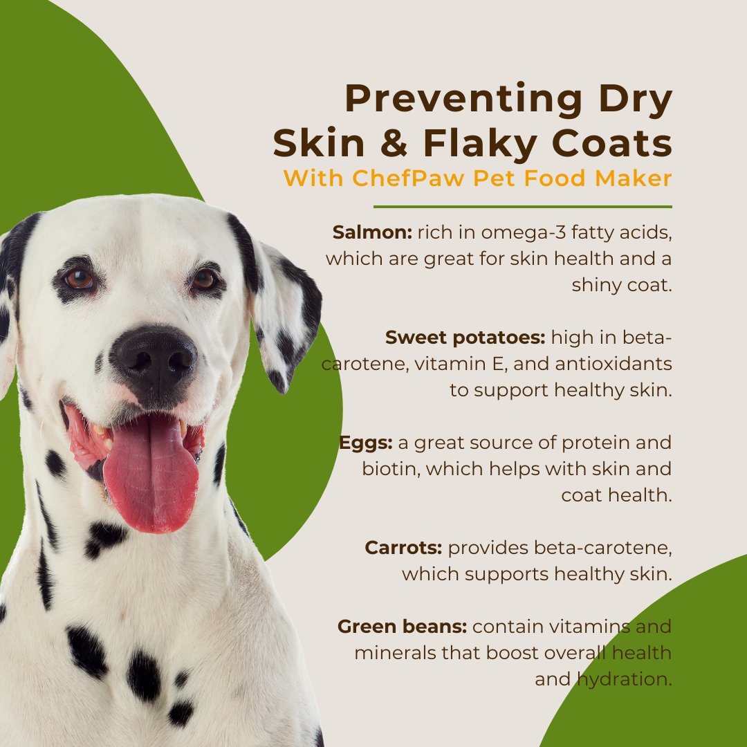 OfficialChefPaw's tweet photo. As winter and #coldweather approach, keep your pet's skin and coat healthy by adding these key ingredients to your #PetFoodMaker! ❄️🍴 Help prevent dry skin and flaky coats with nourishing, all-natural ingredients for a soft, shiny #furcoat all season long. 🐾💙 https://t.co/bfx3iJzstK