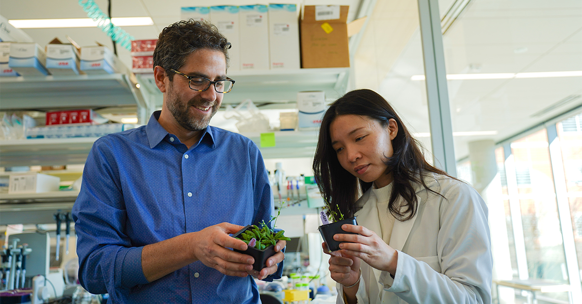 Danforth Center (@danforthcenter) on Twitter photo The <a href="/Slotkin_Lab/">Keith Slotkin</a> has discovered a plant genome-engineering technique called TATSI that could streamline the process of developing improved crop traits, getting them from the lab to field in record time.
Learn more in <a href="/techreview/">MIT Technology Review</a>: loom.ly/aW5DyoQ The <a href="/Slotkin_Lab/">Keith Slotkin</a> has discovered a plant genome-engineering technique called TATSI that could streamline the process of developing improved crop traits, getting them from the lab to field in record time.
Learn more in <a href="/techreview/">MIT Technology Review</a>: loom.ly/aW5DyoQ