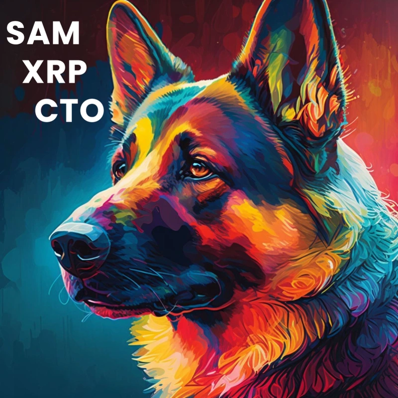 SAM_BradsDOG_CTO tweet media