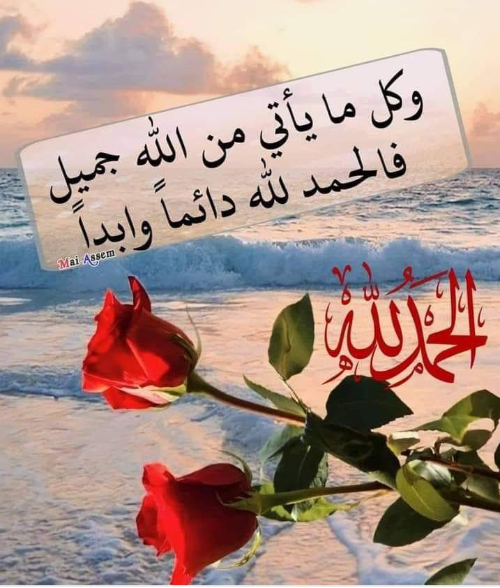 Hala2030 Hesham (@hala2030h24721) on Twitter photo 