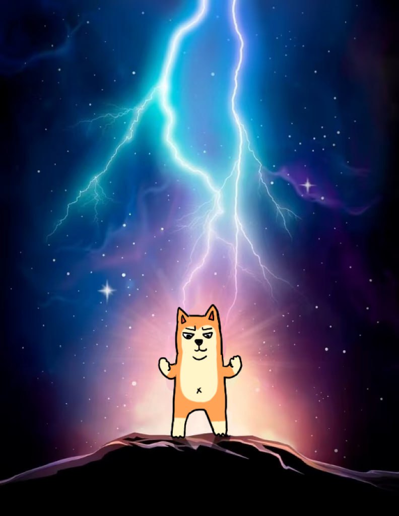 @Ashcryptoreal 💯 and except the #memecoins I'm holding

#doggoCTO wen lamba, wen dreams come true?