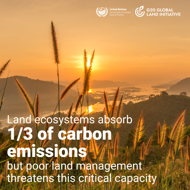 Planetary Guardians tweet media