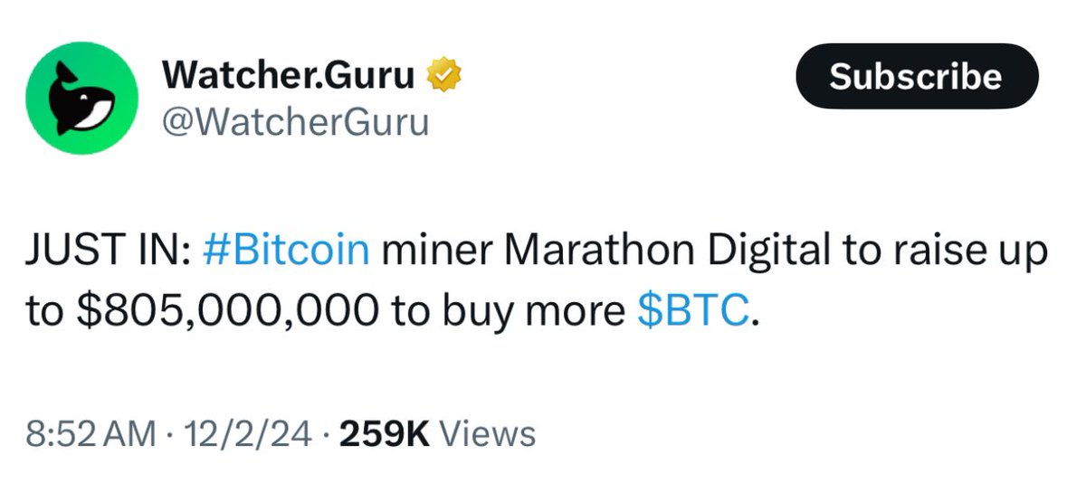 borovik tweet media