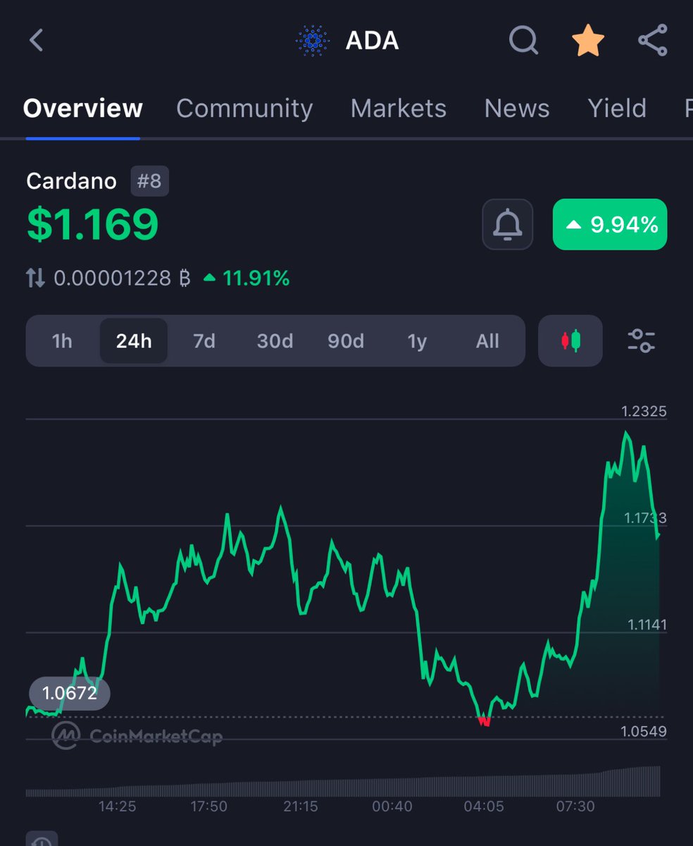 Graffzity | Pets R' Us tweet media