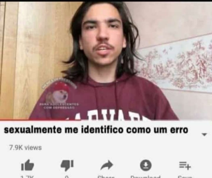 perfil dedicado a gatinhos e peitos (@odeiootaco) on Twitter photo 