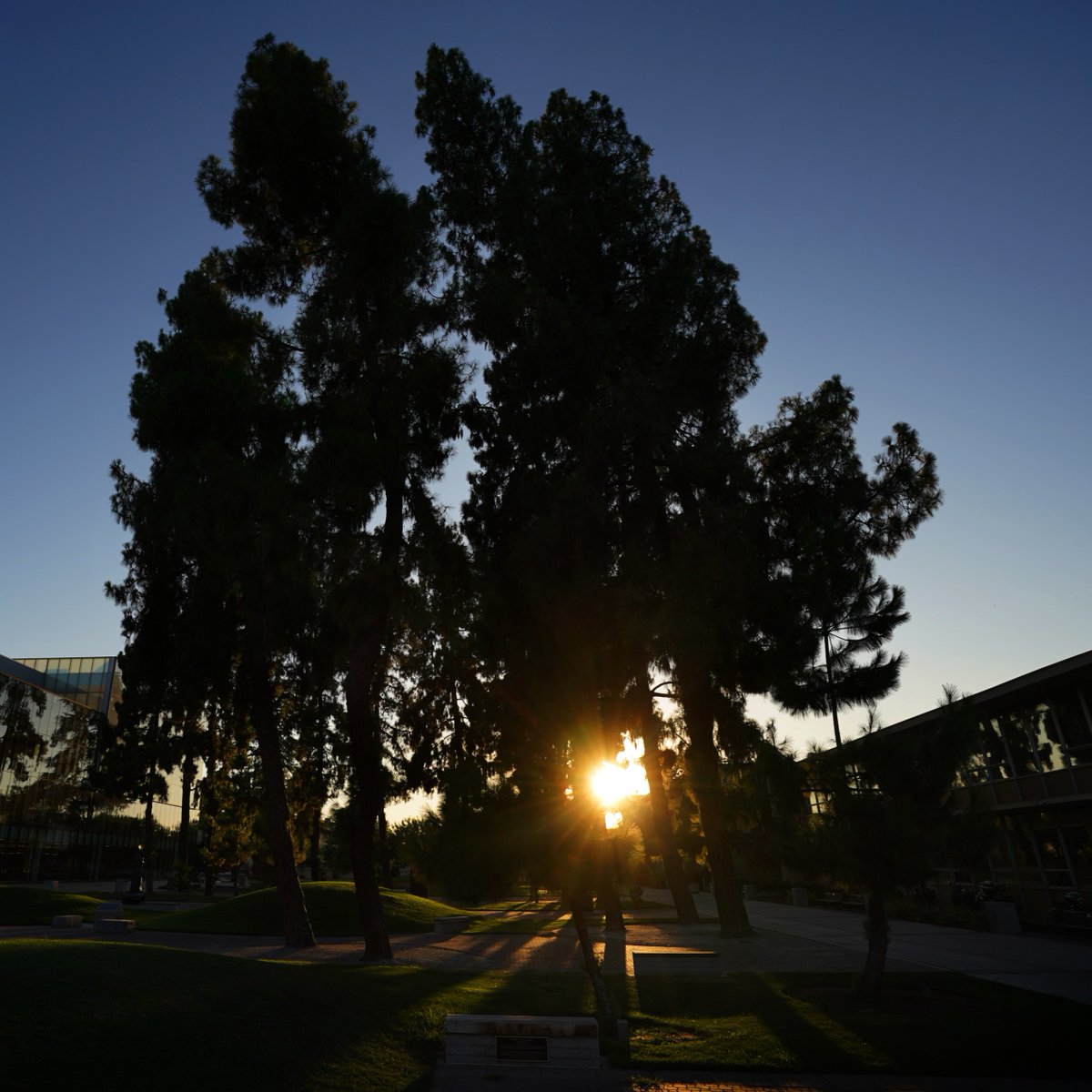 Welcome back, Bulldogs! Finals are around the corner, so here are quick tips to thrive:

📚 Plan your study schedule
☕ Take breaks &amp; stay hydrated
💤 Prioritize sleep
🖥️ Use library resources

We’ve got study spaces, research help, &amp; more — let’s finish strong! #FresnoState