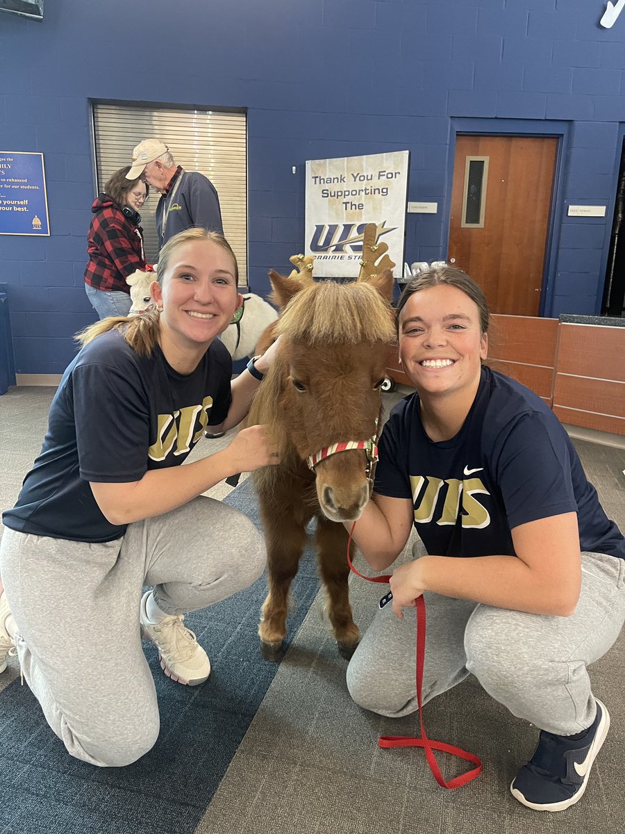 Prepping for finals week with some miniature therapy ponies!       

#GoStars