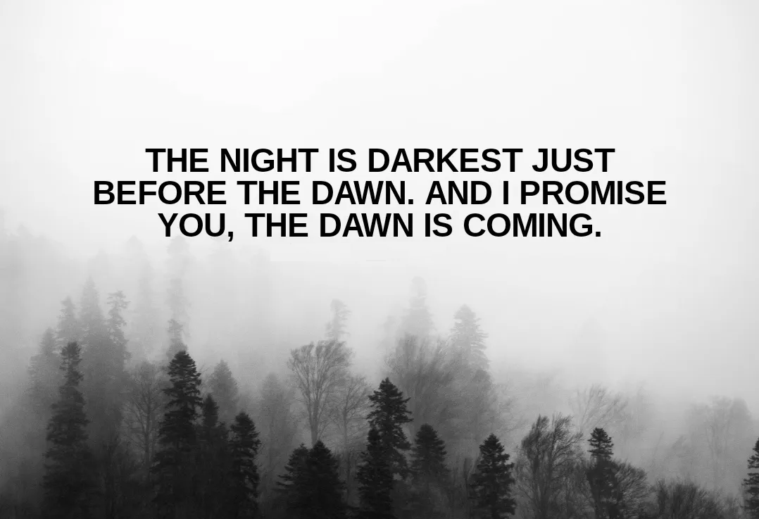 BasilTheGreat's tweet photo. To anyone who feels down about the state our country. If you fear, you worry, you panic at the mess we find ourselves in.

I just want you to know that I used to feel that way too.

But the truth is our country and our people have overcome trials far greater than this.

We defeated Napoleon, the Kaiser and Hitler.

We've weathered Plague, Famine and Disasters down these many centuries.

And I assure you our story does not end here.

The problems we face today, mass immigration, rampant crime, an unstable economy, a lack of infrastructure, poverty, the takeover of our institutions and the destruction of our communities were all done to us by people we elected.

These weren't outside forces, these were those that won power.

And we must remember we can kick them out of power too.

The reason you feel like there's no hope is because the people who have engineered this or done this "by design" as Keir Starmer let slip the other day, are currently in panic mode as western civilization has triggered the timebombs to see an end of this neoliberal globalist experiment that has wrought so much misery on our people.

In Italy, we have Meloni. In The Netherlands, Geert Wilders. In Germany, the AFD may just win the election next year. In Austria, the Freedom party won the last election. Denmark is anti-immigration. Hungary is. Poland is. So many countries are waking up to this reality and in 2027 we will, I believe, finally see Marine Le Pen elected President in France.

What I'm saying is it doesn't matter what we do here. The trends around the world are already changing. Sweden now has a remigration programme, yes liberal lefty Sweden pays migrants to leave their country and Trump is about to embark on the largest mass deportation in the history of the world.

We wont be left behind in this. We will follow suit in time and we will go on as we have before.

Please do not fear. 
The globalists are simply running down the clock. 
And their time will soon be up.

Keep. On. Fighting.✊