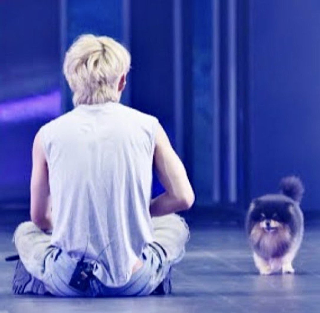 DailylofV's tweet photo. this pic of them :( https://t.co/qJuzJkCiUH