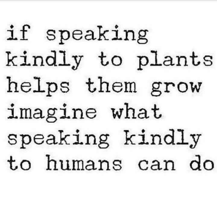 Susan Bennett (@siriouslysusan) on Twitter photo 