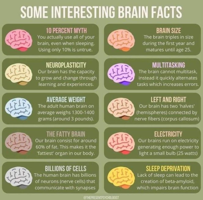 Mahnoormalikk__'s tweet photo. #MentalHealthAwareness 
#brainhealth https://t.co/S792AeSRYq