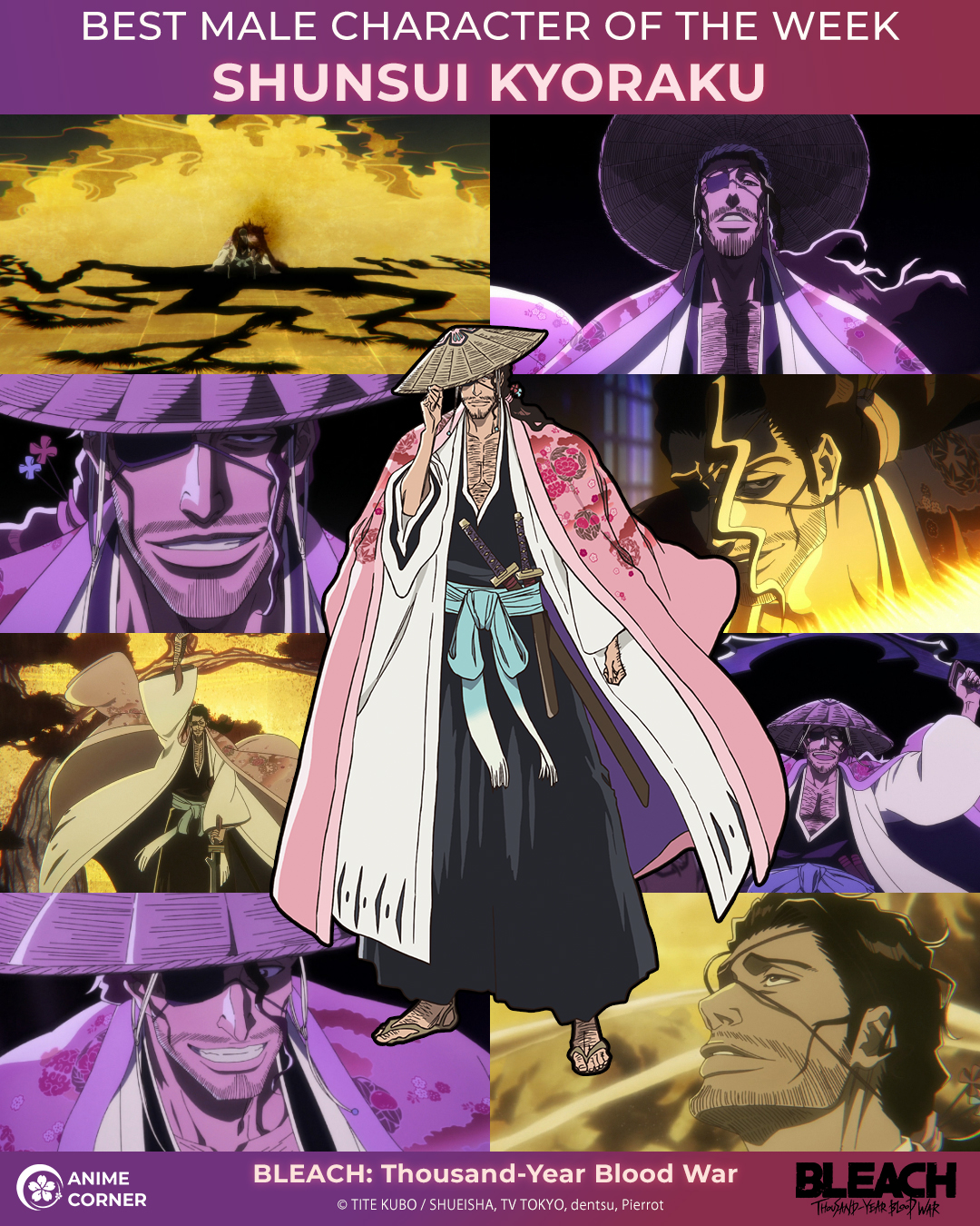 Bleach Captain Kyouraku Bankai Bleach Animated World Shunsui Kyoraku