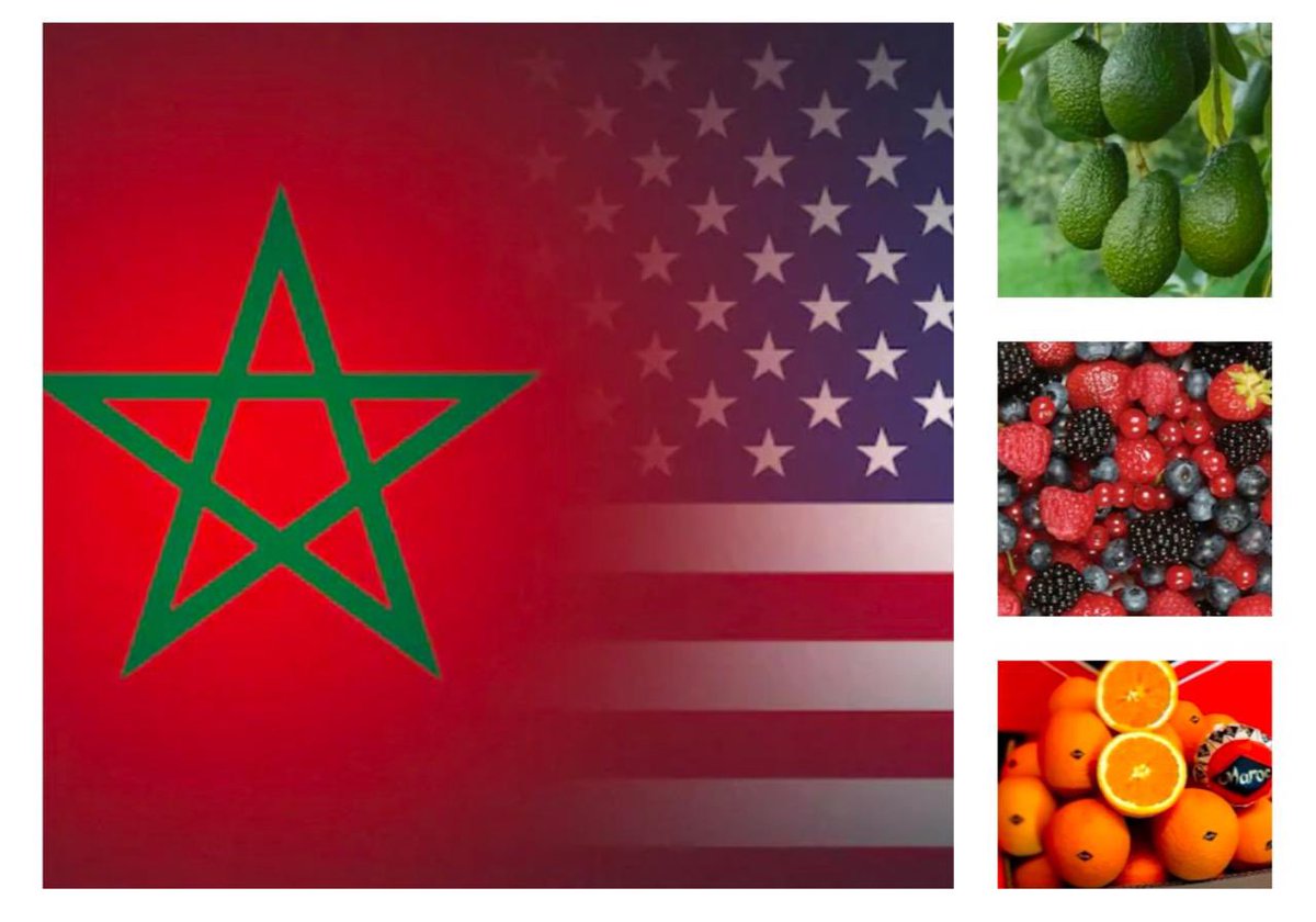 youamrani's tweet photo. Illustrating the strong partnership between 🇲🇦 & 🇺🇸 as well as the tremendous opportunities offered by the Moroccan Agricultural Market, the US Department of Agriculture organises its first ever Agribusiness Trade Mission to Morocco from December 2 to 5. This Trade Mission, which is the largest ever of its kind to Africa, will serve as a platform convening a delegation of 26 American agribusinesses, 21 leaders of cooperatives, and 14 state agriculture departments as well as Moroccan and West African buyers. This will futher enhance exchange in this sector between the two countries which reached $900 million in 2023. 🇲🇦🤝🇺🇸 @USDA